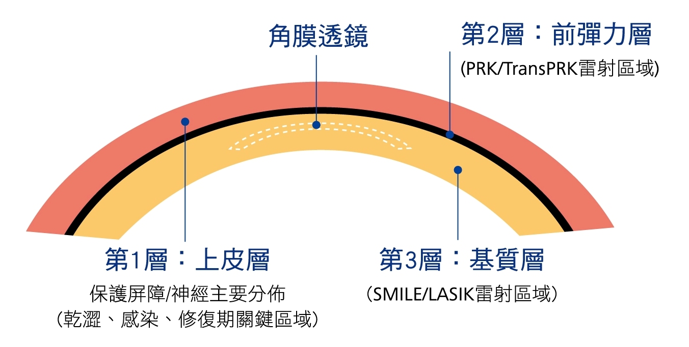 為什麼要選擇Smile全飛秒雷射原因二：無瓣膜精緻手術